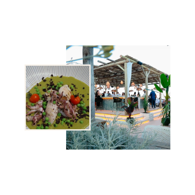 Paillote By L'impact - restaurant BASTIA - Restaurant Italien Bastia